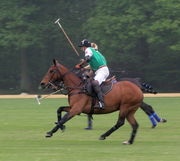 Polo_Art   010.jpg